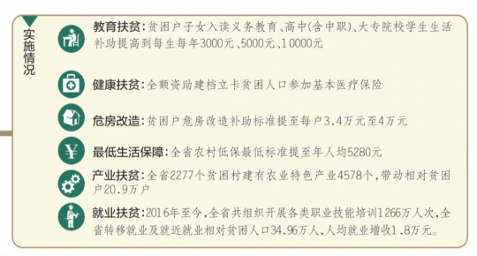 新奥精准资料免费提供最新版本|词语释义解释落实高贵优雅版592.329