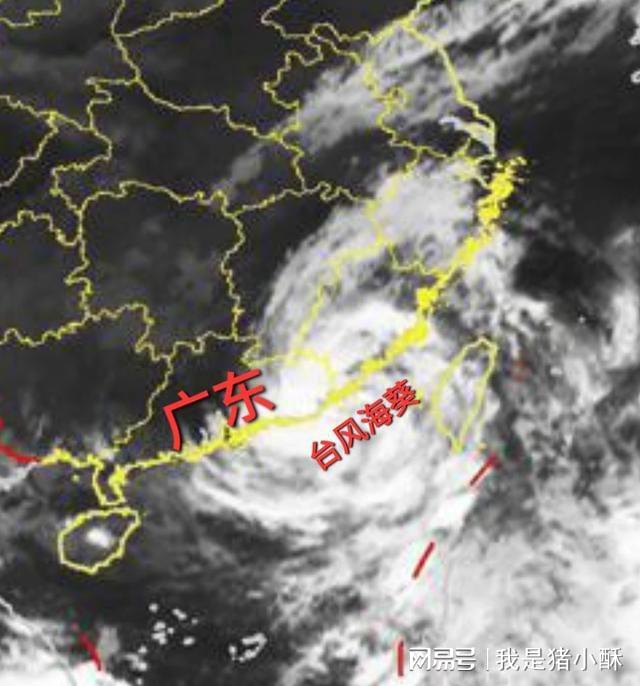 最新台风实时登陆情况