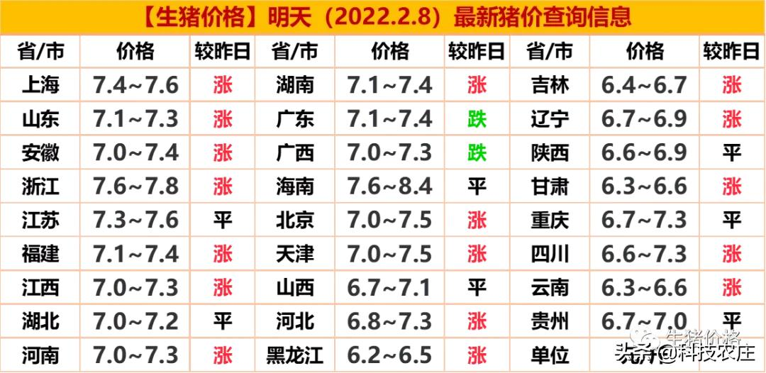 今日猪价上涨的最新信息