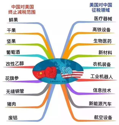 特朗普最新支持者的崛起，探究背后的原因与影响