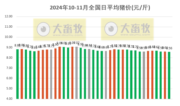 2025年1月20日 第9页