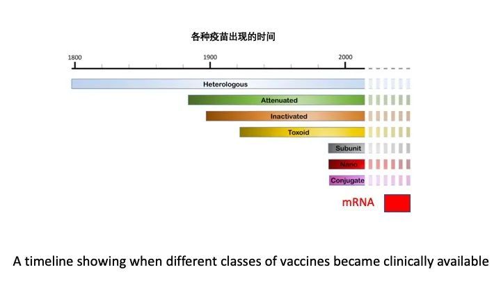 新冠疫苗的最新技术，突破与创新