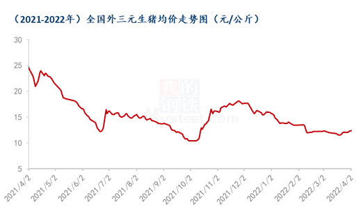 今日大猪价最新走势价格分析