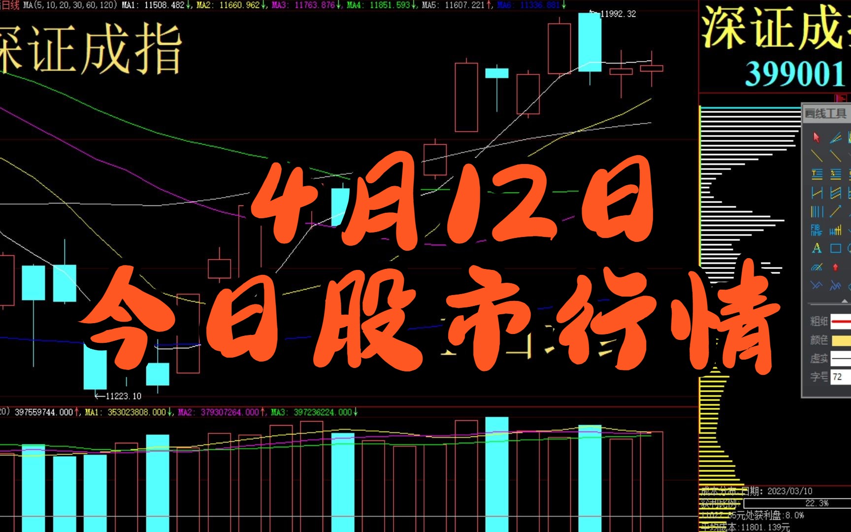 最新股市今日行情分析与展望