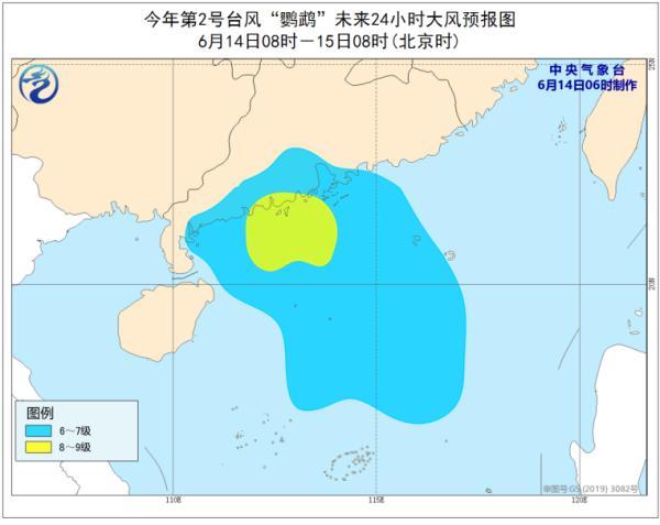 鹦鹉台风最新消息，影响及应对措施全面解析