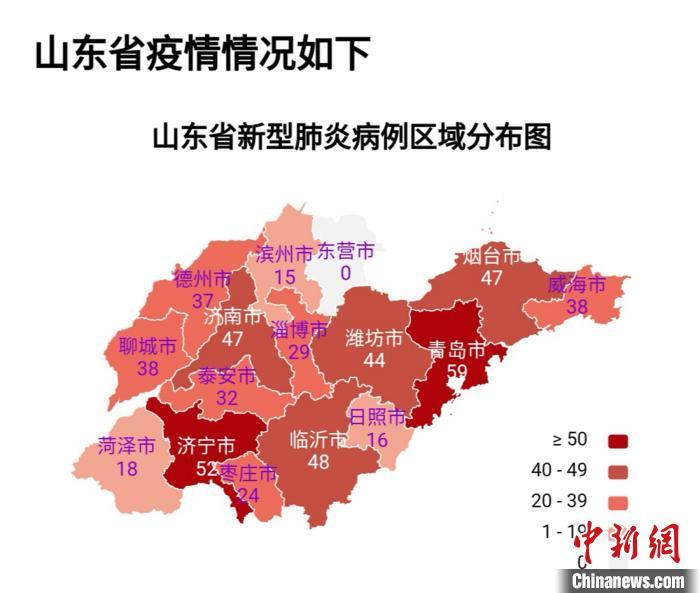 中国山东肺炎最新消息全面解析